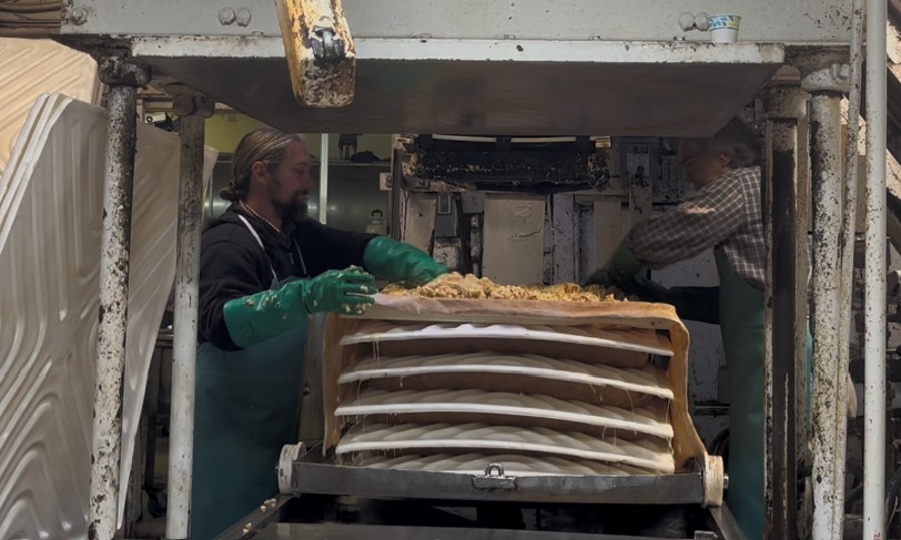 Chopped apples in cheesecloth